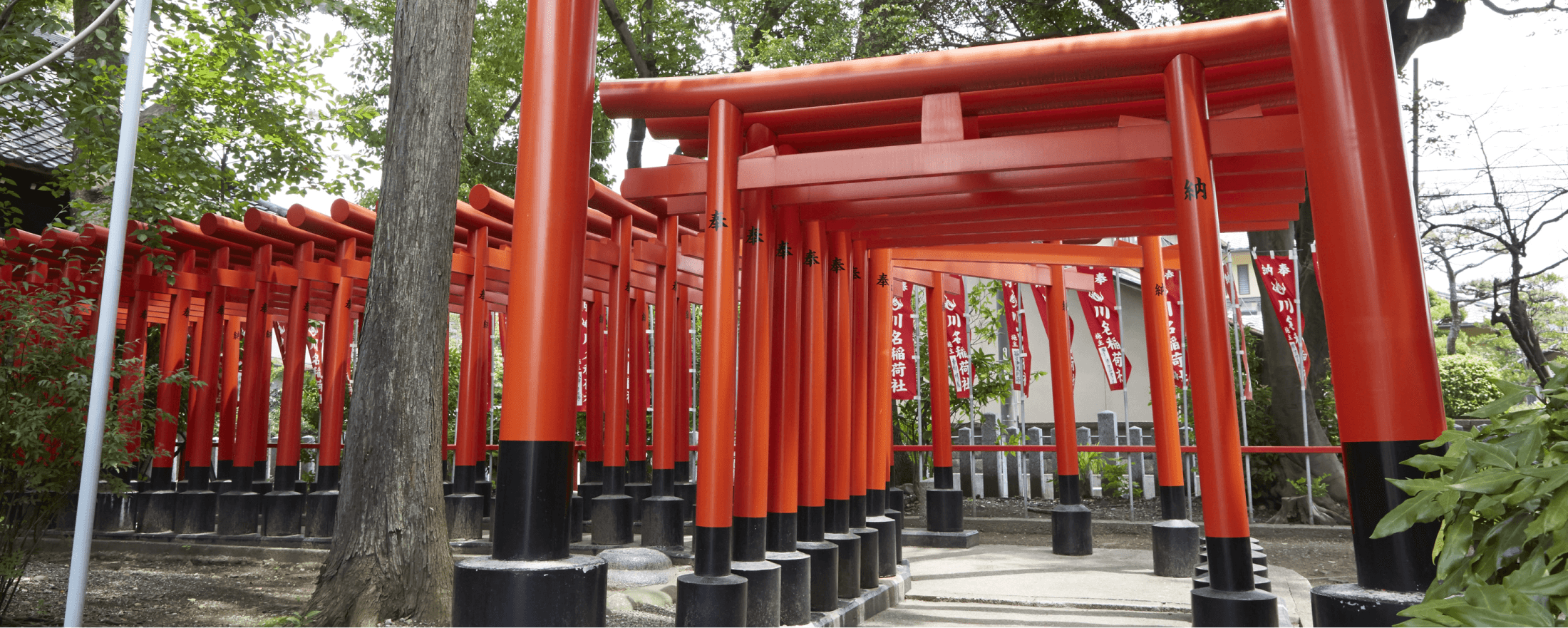 赤い鳥居が並ぶ、川原神社のお稲荷さん。
